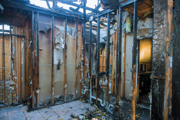 Professional Odor Removal technician working in Hidden Valley, IN